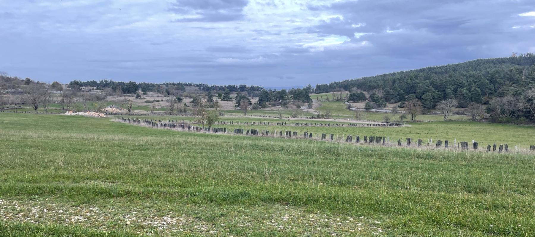 Plantations de haies réalisées avec le COPAGE