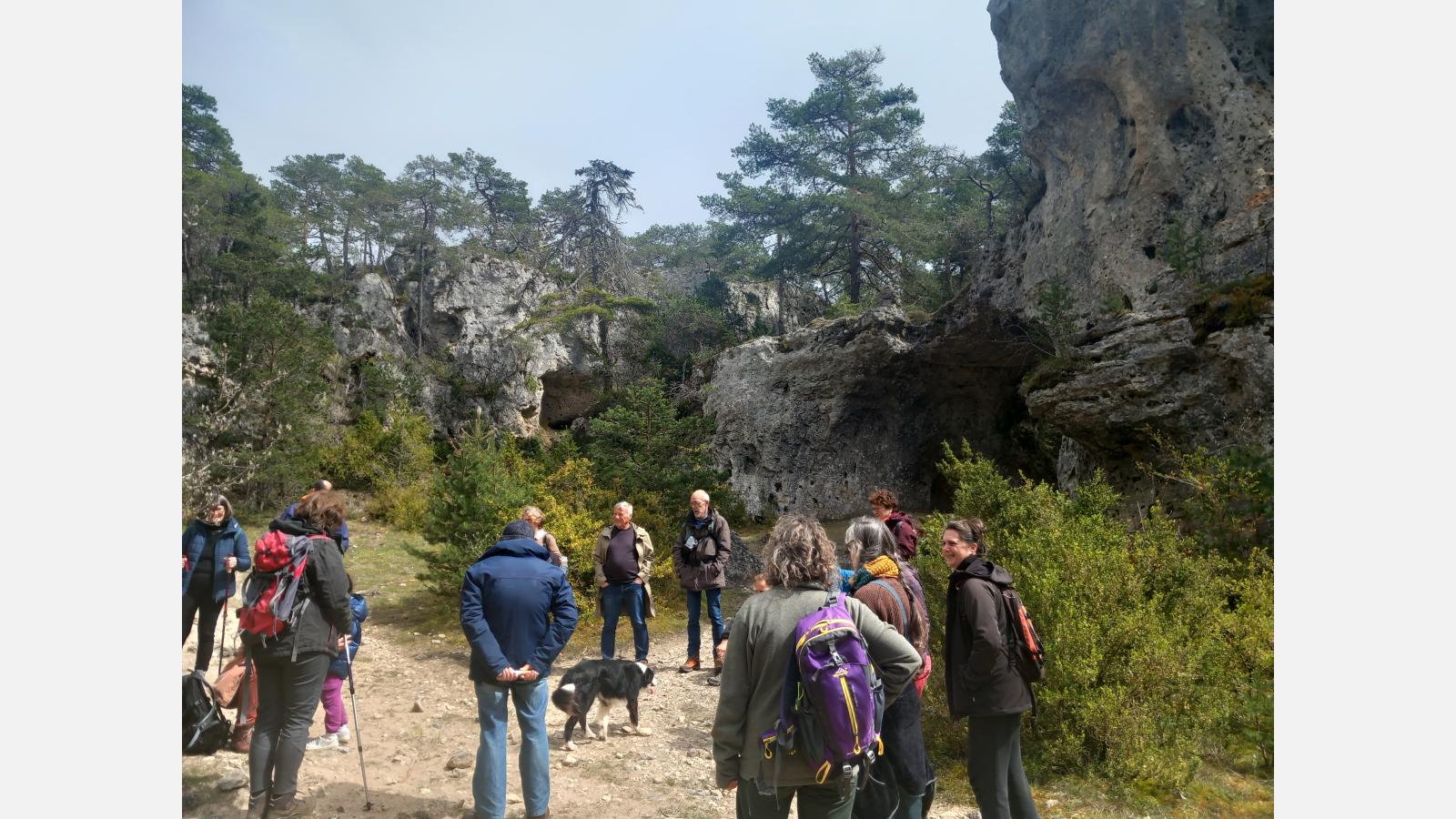 Animation arcs saint pierre