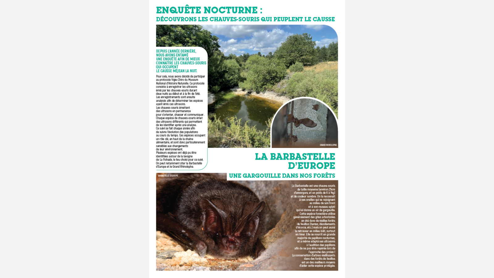 page2